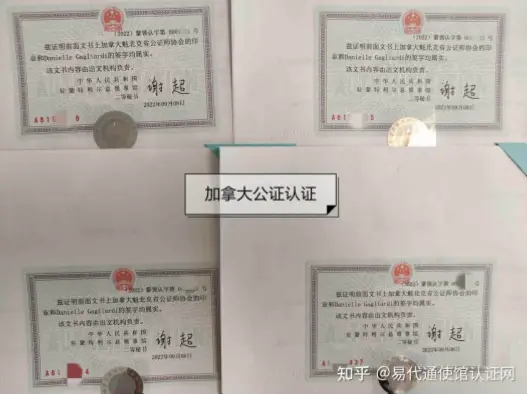 美加墨租车必备文件清单：驾照公证、护照复印准备好了吗？