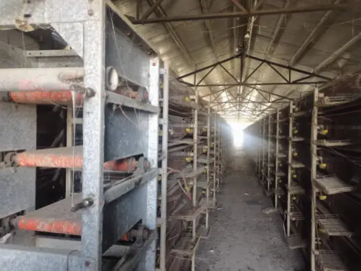 投入巨资建基层设施，为何效果不明显？